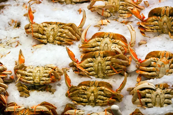 Krabbor på displayen på fiskmarknaden — Stockfoto