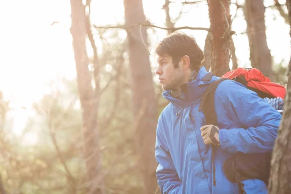 Wanderer mit Rucksack — Stockfoto