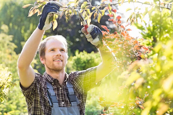 Junger Mann schneidet Äste — Stockfoto