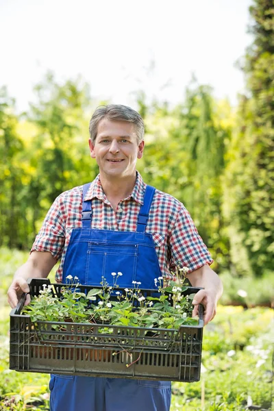 Man holding crate of potted plants — Stock Photo, Image
