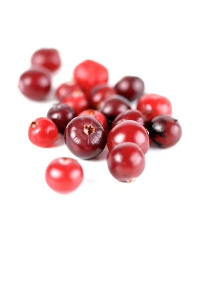 Close-up of red cranberries — Stock Photo, Image