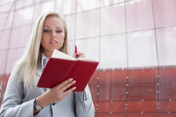 Empresaria leyendo notas en organizador —  Fotos de Stock