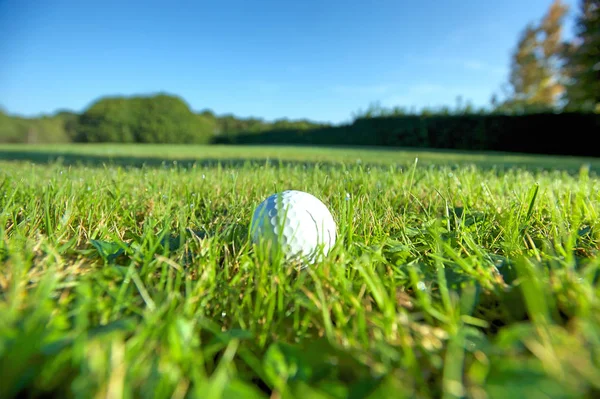 Bola de golfe na grama molhada — Fotografia de Stock