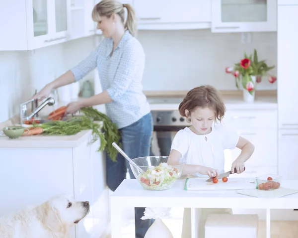 आई आणि मुलगी निरोगी जेवण तयार करीत आहेत — स्टॉक फोटो, इमेज