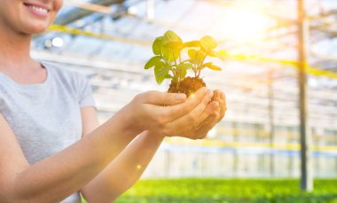Bitki yetiştirme odasında fideleri tutan dişi botanikçi görüntüsü.