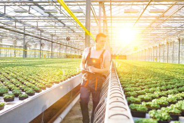 Bitki sera içinde inceleyerek kendine güvenen erkek bilim adamı