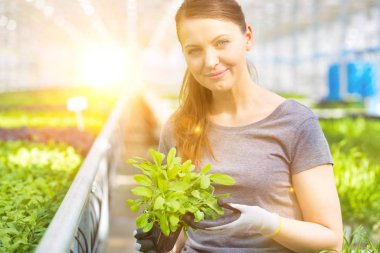 Bitki yetiştirme odasında bitki tohumlarını inceleyen kadın botanikçi.