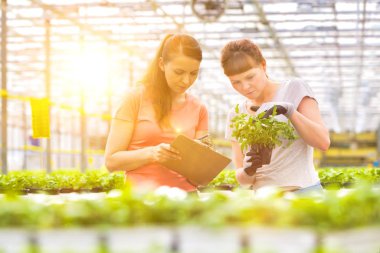 Kadın botanikçiler ot fidan bitki Kreş incelenmesi