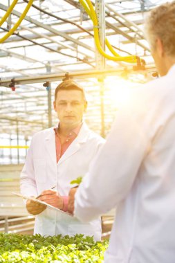 Bitki yetiştirme odasında panoya yazarken şifalı bitkileri inceleyen iki erkek botanikçi.