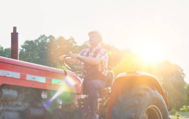 Güneşli bir günde çiftlikte traktör süren kendine güvenen çiftçi.