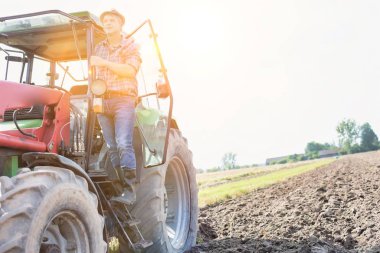 Çiftlikte güneşli bir günde hasat yapan adam.