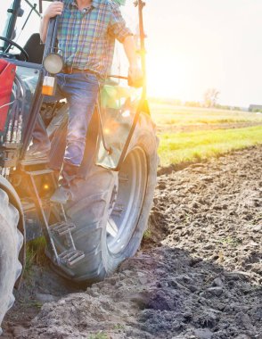 Çiftlikte güneşli bir günde hasat yapan adam.