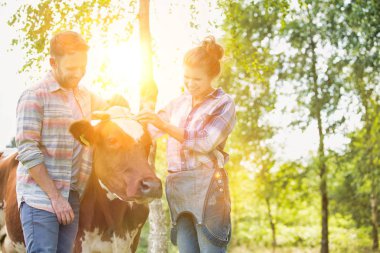 Çiftlikte inekler ile ayakta gülümseyen çift