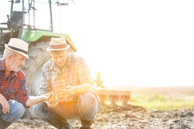 İş arkadaşlarınızla alan gökyüzü karşı çiftliğinde topraklarında incelenmesi