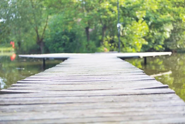 Foto Der Seebrücke See — Stockfoto