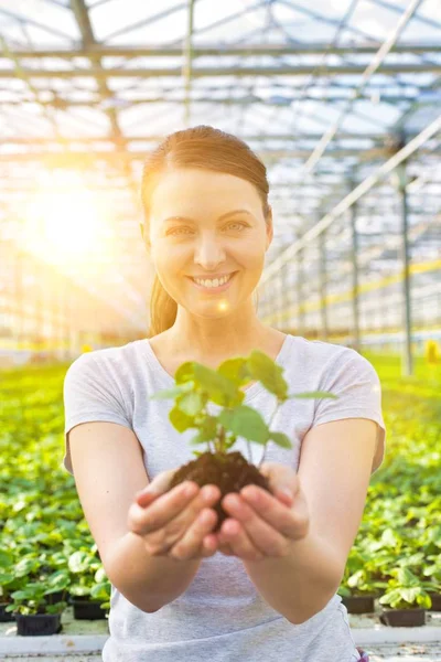 美丽的女性植物学家在苗圃中抱幼苗的肖像 — 图库照片