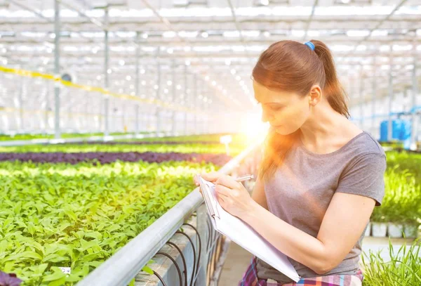 Genç kadın botanikçi Pano bitki Kreş ile ayakta portresi