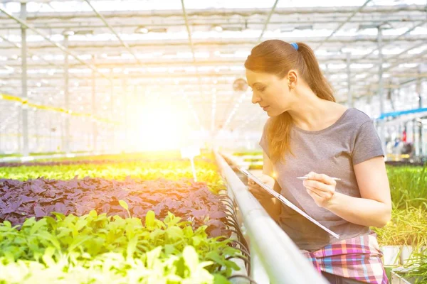 Retrato Una Joven Botánica Pie Con Portapapeles Vivero Plantas —  Fotos de Stock