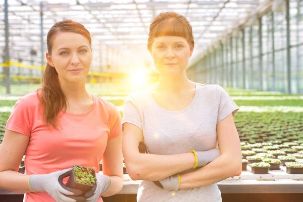 Portrait Confident Young Female Botanist Standing Arms Crossed Herbs Greenhouse — Stock Photo, Image