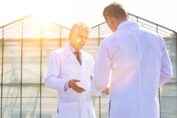 成熟的男性生物化学家站在蓝天下讨论的低视角 — 图库照片