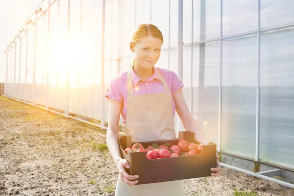 Low Angle View Woman Carrying Crate Greenhouse — Stock Photo, Image