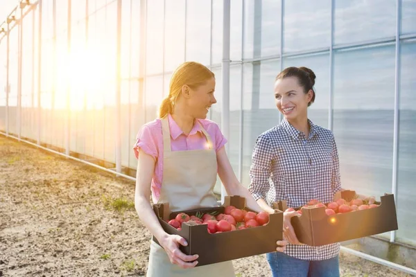 Mitarbeiter Mit Kisten Reden Während Sie Aus Dem Gewächshaus Gehen — Stockfoto