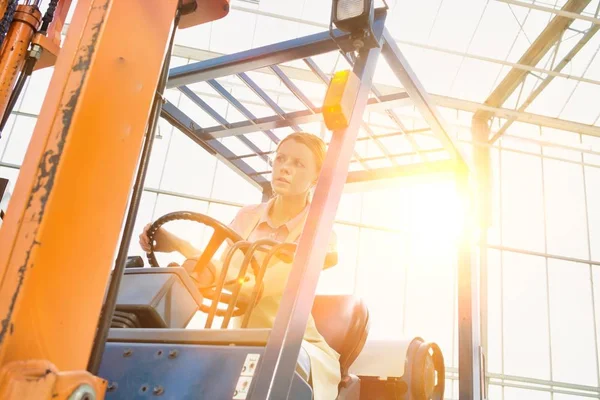 Young Farmer Driving Forklift Storage Room Yellow Lens Flare — Stock Photo, Image