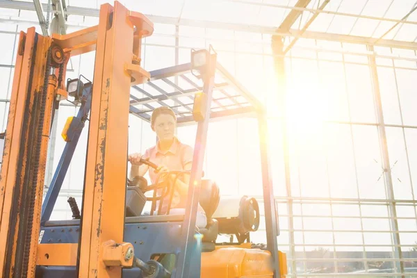 Jóvenes Agricultores Que Conducen Carretillas Elevadoras Trastero Con Lentes Amarillas — Foto de Stock