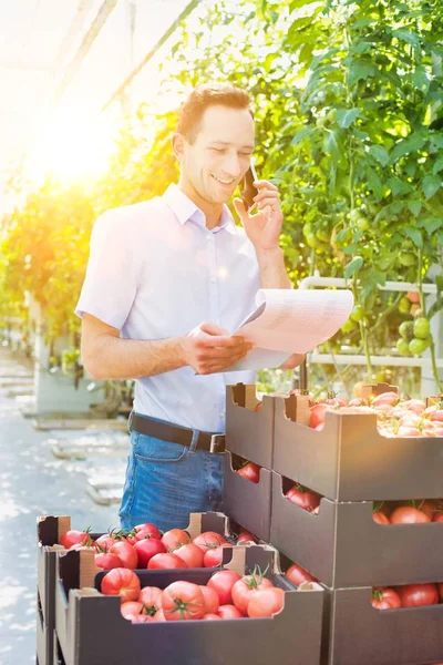 Life Farmer Greenhouse Strong Lens Flare Background — Stock Photo, Image