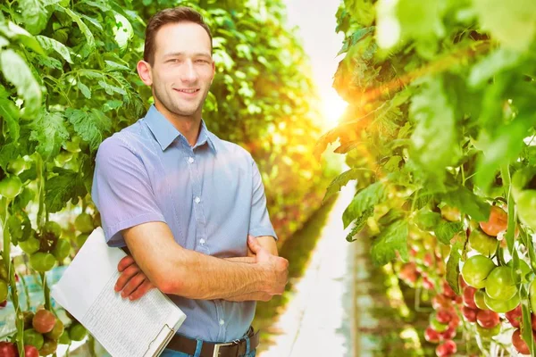 Livet För Jordbrukare Växthus Med Stark Lins Fackling Bakgrunden — Stockfoto