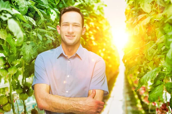 Life Farmer Greenhouse Strong Lens Flare Background — Stock Photo, Image