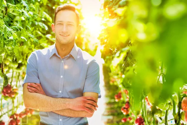 Das Leben Eines Bauern Gewächshaus Mit Starkem Linsenschlag Hintergrund — Stockfoto