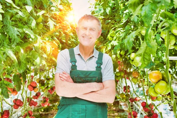 Vida Agricultor Invernadero Con Una Fuerte Lente Segundo Plano — Foto de Stock