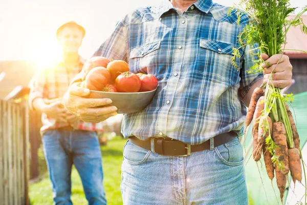 Agricultores Que Transportam Vários Produtos Hortícolas Exploração — Fotografia de Stock