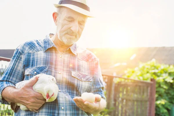 farmer holding chicken and fresh eggs at farm