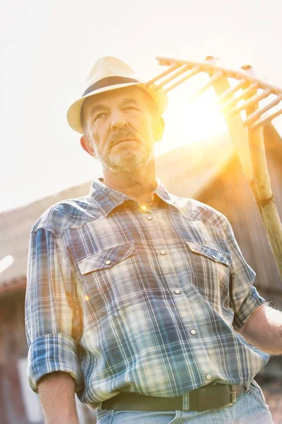 Portrét Starší Zemědělce Kostkované Košili Drží Hrábě Farmě — Stock fotografie