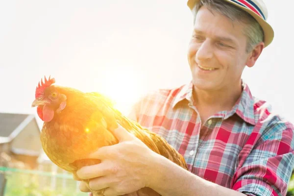 Granjero Sonriente Sosteniendo Gallina Granja — Foto de Stock