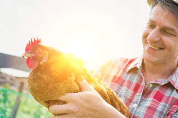 Granjero Sonriente Sosteniendo Gallina Granja — Foto de Stock