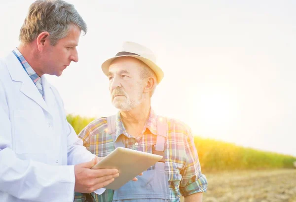 Farmer and scientist using digital tablet while examining corn crops at farm