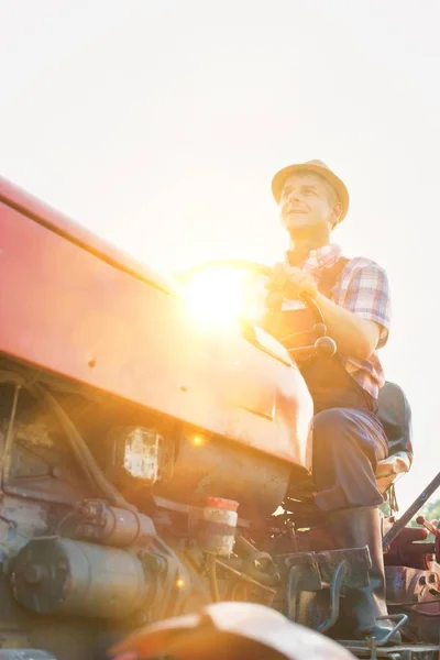Selbstbewusster Landwirt Fährt Bei Sonnigem Wetter Traktor Auf Hof — Stockfoto