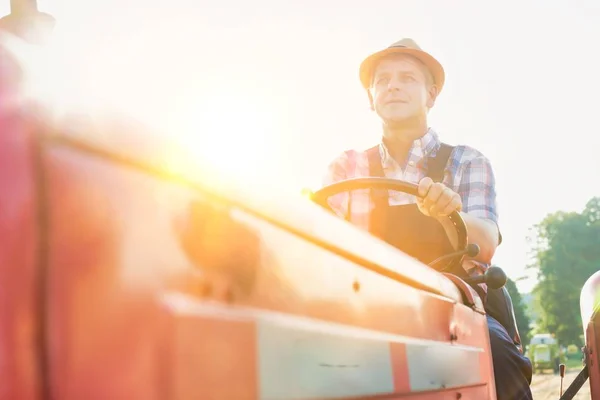 Confident Farmer Driving Tractor Farm Sunny Day — Stock Photo, Image