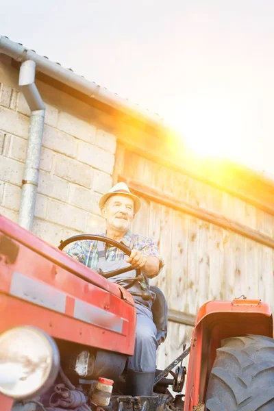 Portrait Smiling Senior Farmer Sitting Tractor Barn Farm — Stock Photo, Image