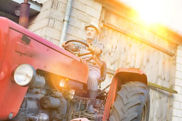 Retrato Del Granjero Mayor Sonriente Sentado Tractor Contra Granero Granja — Foto de Stock