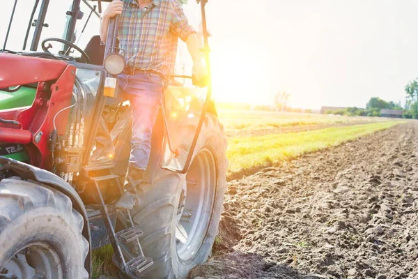 Çiftlikte güneşli bir günde hasat yapan adam.