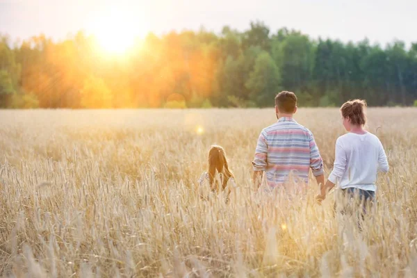 Rear View Family Walking Amidst Crops Farm — Stock Photo, Image