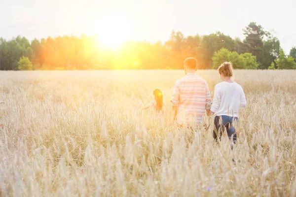 Rückansicht Einer Familie Beim Spazierengehen Inmitten Von Feldfrüchten Auf Einem — Stockfoto