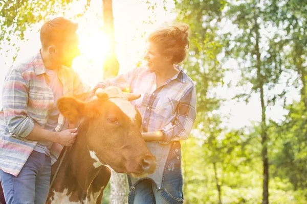 Lächelndes Paar Steht Mit Kuh Auf Bauernhof — Stockfoto