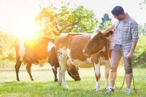 Smiling adult man standing near cows at farm