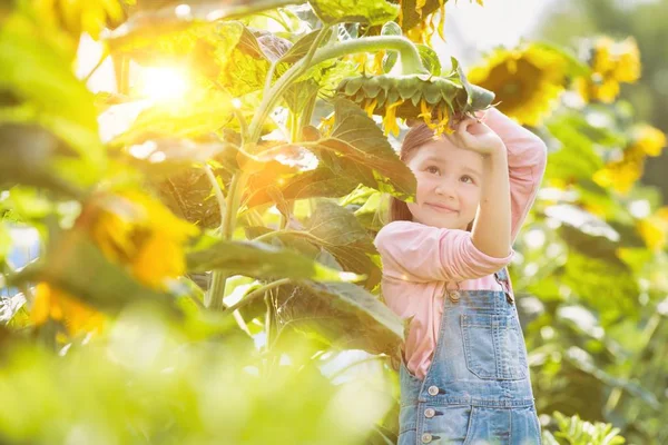 Retrato Menina Feliz Brincando Com Girassol Fazenda — Fotografia de Stock