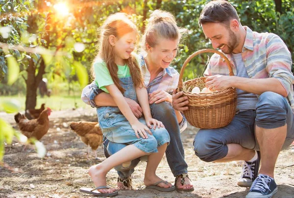 Pais Com Menina Segurando Ovos Cesta Fazenda — Fotografia de Stock